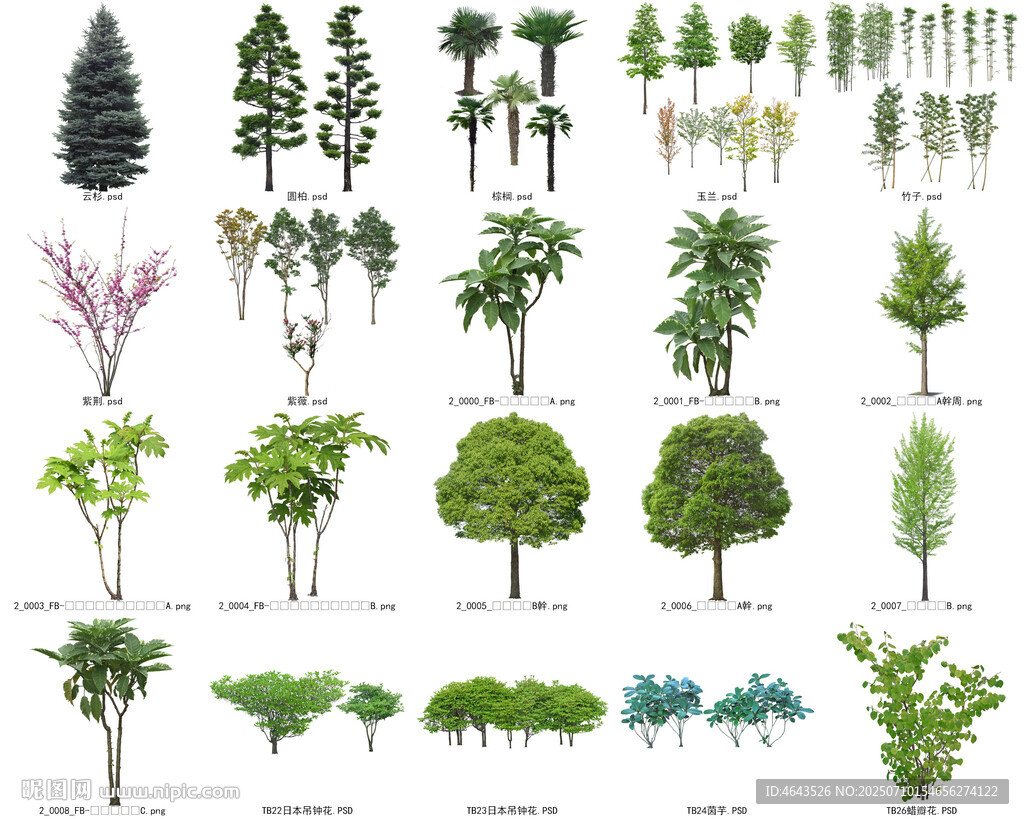免扣高清景觀樹蓮花植物花卉貼圖