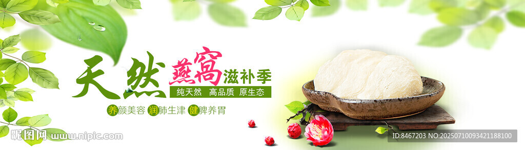 天然燕窩