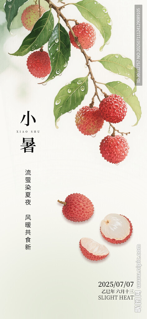 小暑時節(jié)的紅果與綠葉