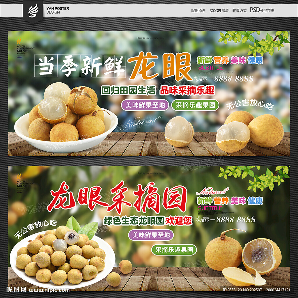 龍眼海報