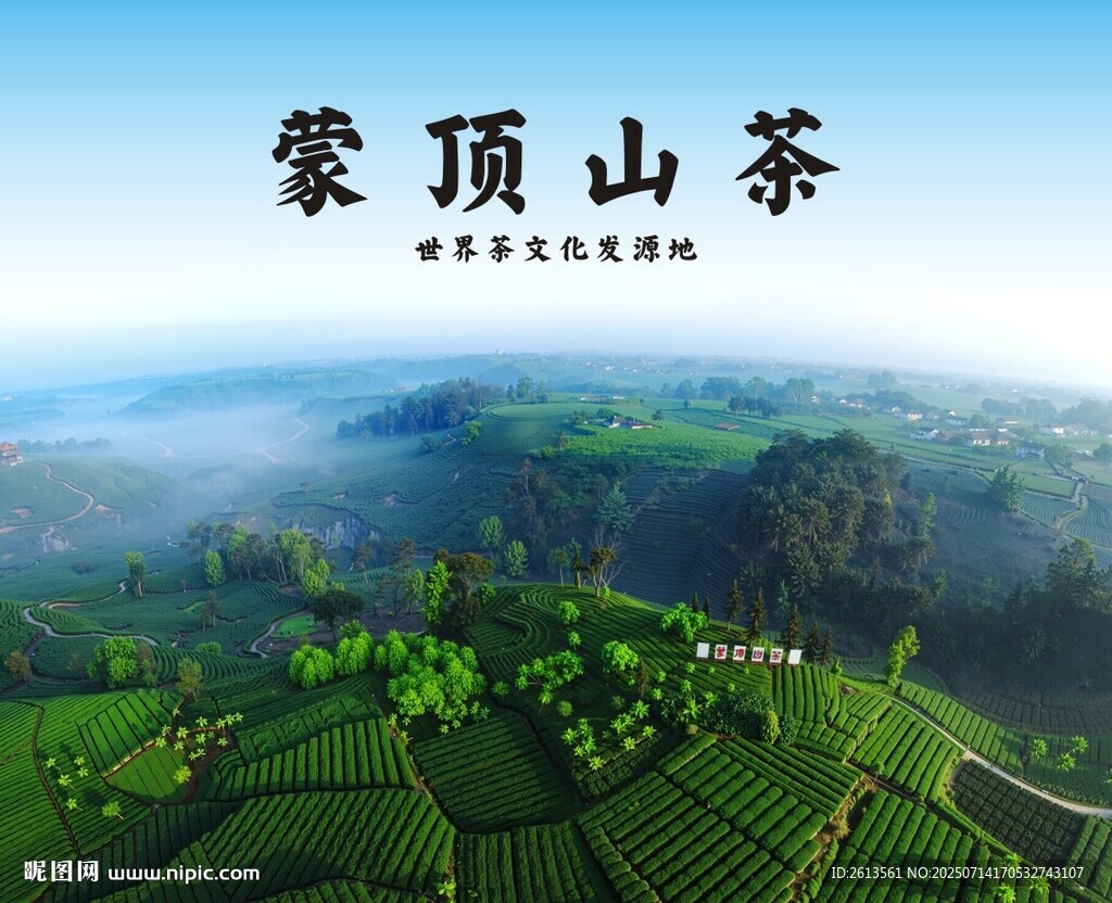 蒙頂山茶