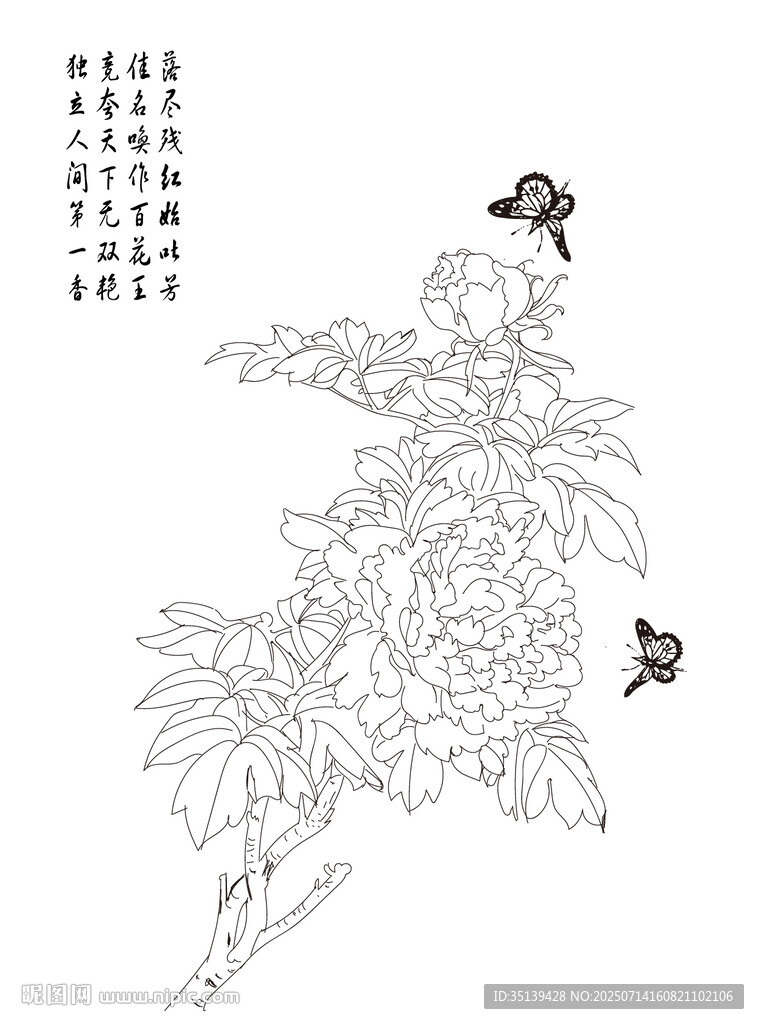 工筆牡丹蝴蝶白描圖線稿圖