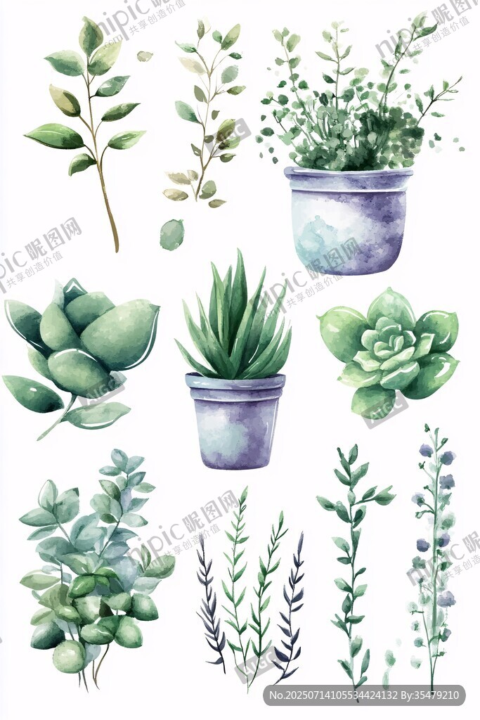 水彩風(fēng)綠植盆栽插畫素材