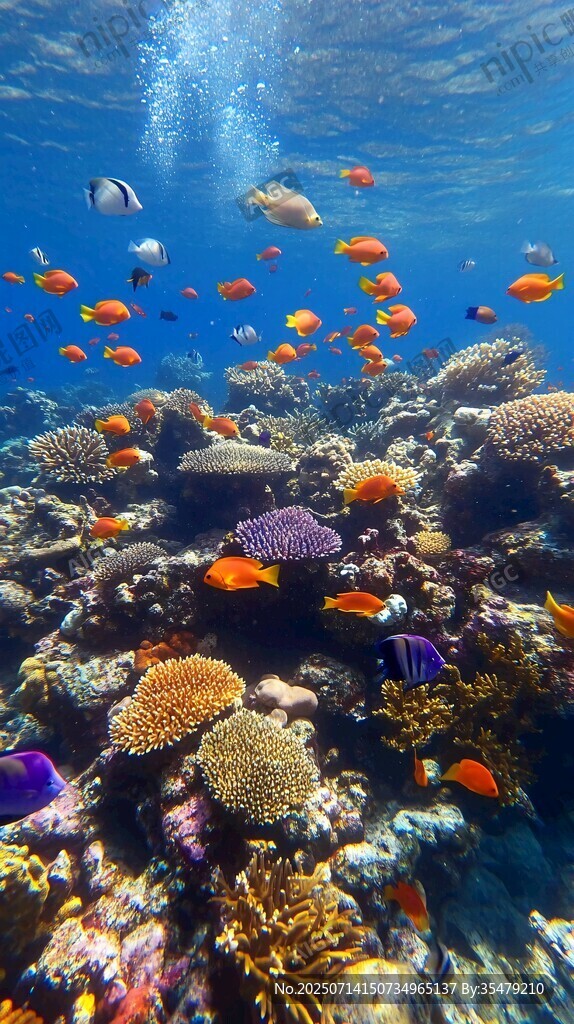 海底繽紛珊瑚與游動魚群