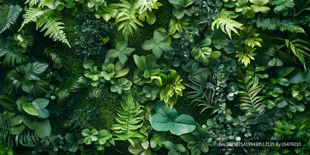 綠意盎然的植物墻景觀