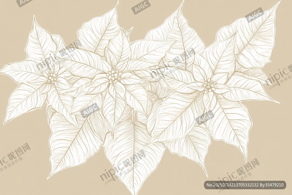 白色一品紅花卉插畫圖案