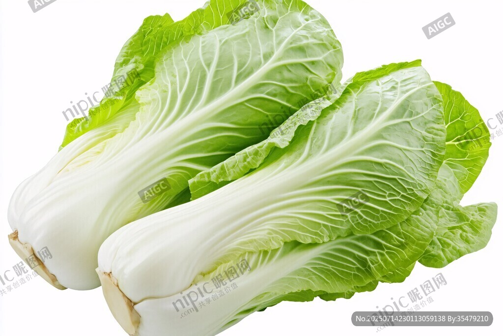 新鮮小白菜 翠綠又飽滿
