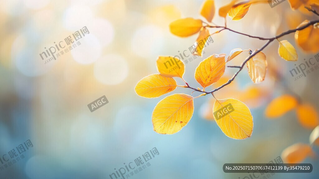 秋日枝頭黃葉的柔美景致