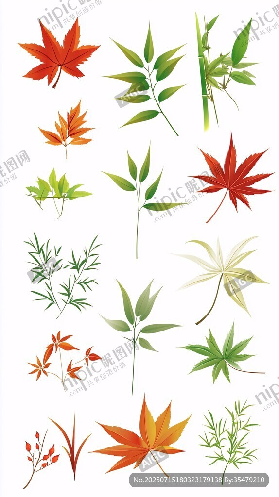 多彩植物葉片素材