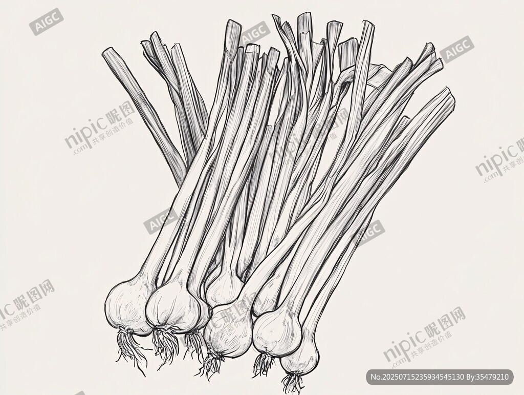 手繪蔥蒜圖
