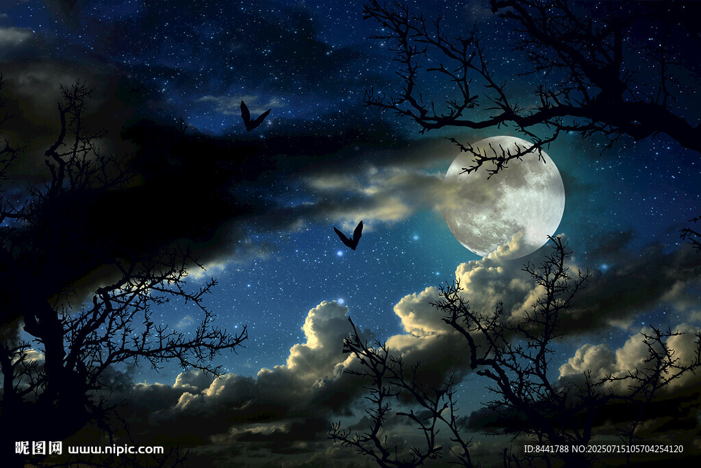 月夜下的奇幻天空景象