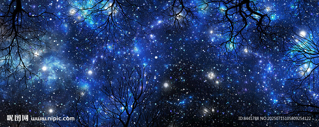 仰視星空夜空