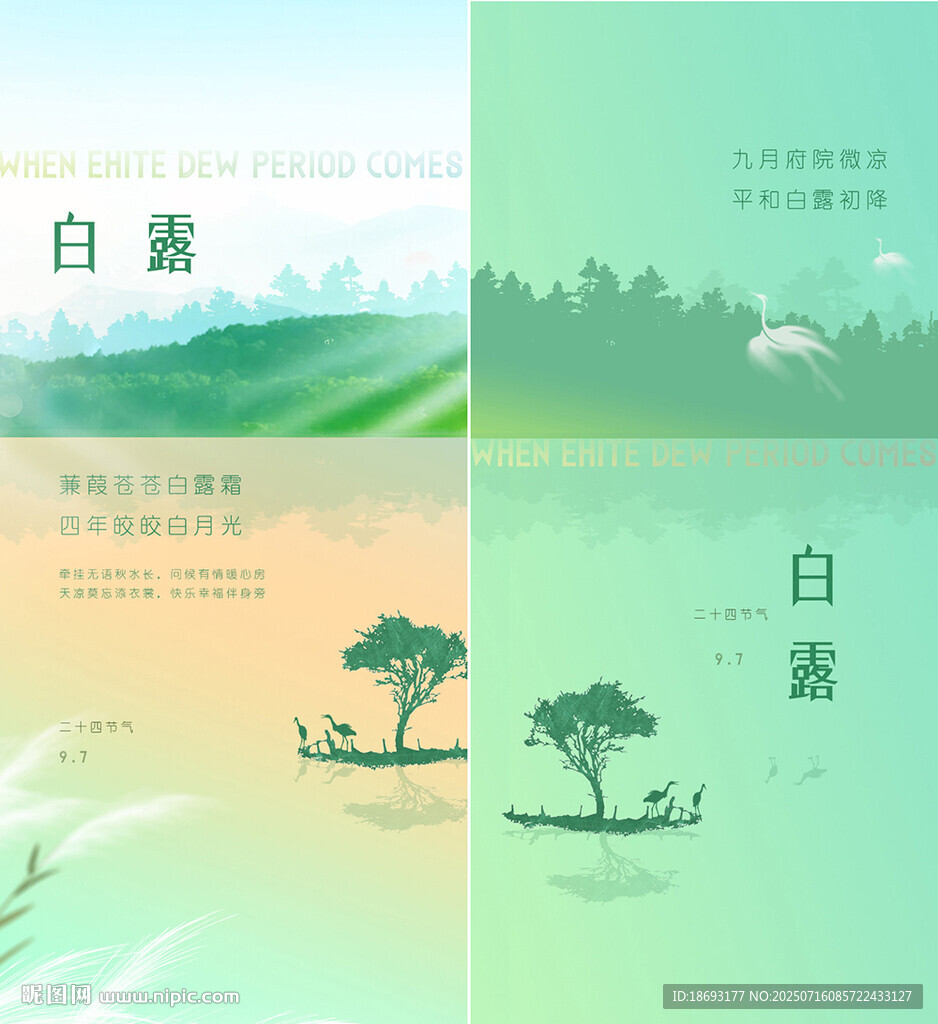白露