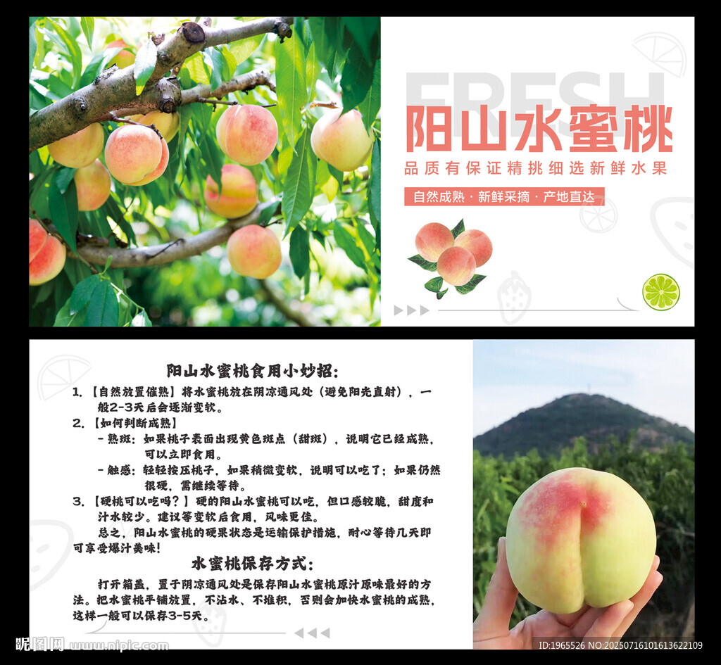 陽山水蜜桃