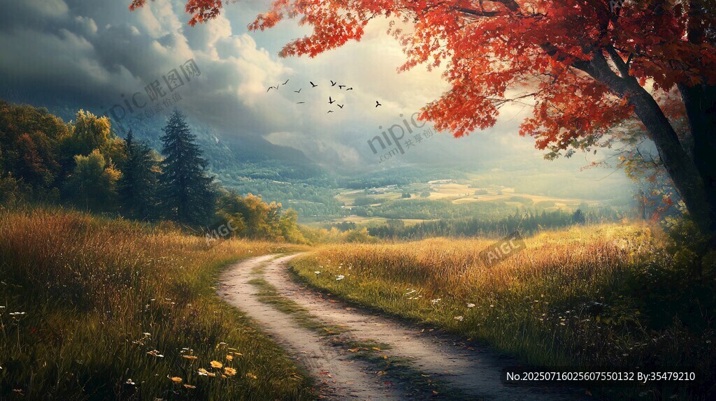 秋日林間小徑夢幻風(fēng)景