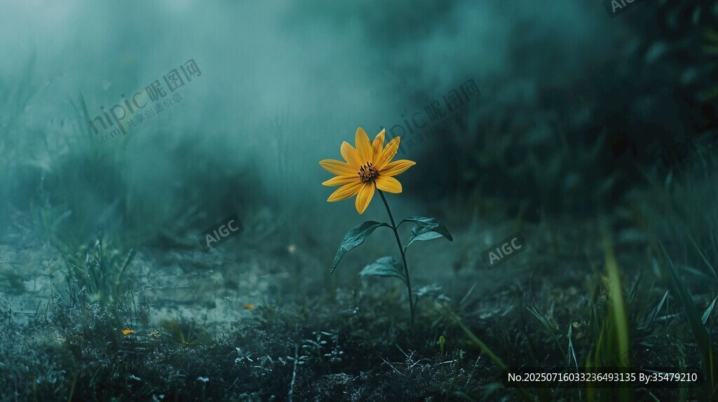 孤黃小花綻于幽謐綠野