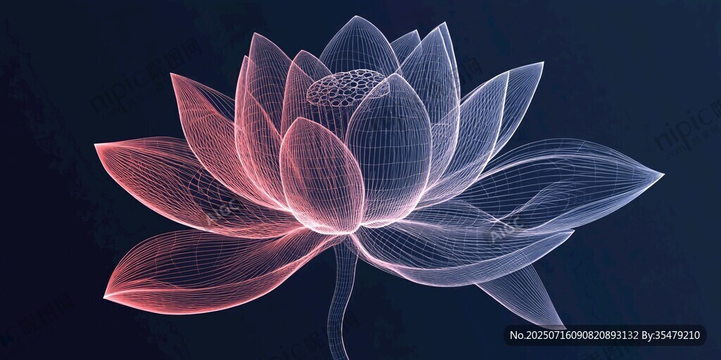 夢(mèng)幻線條勾勒的虛擬蓮花