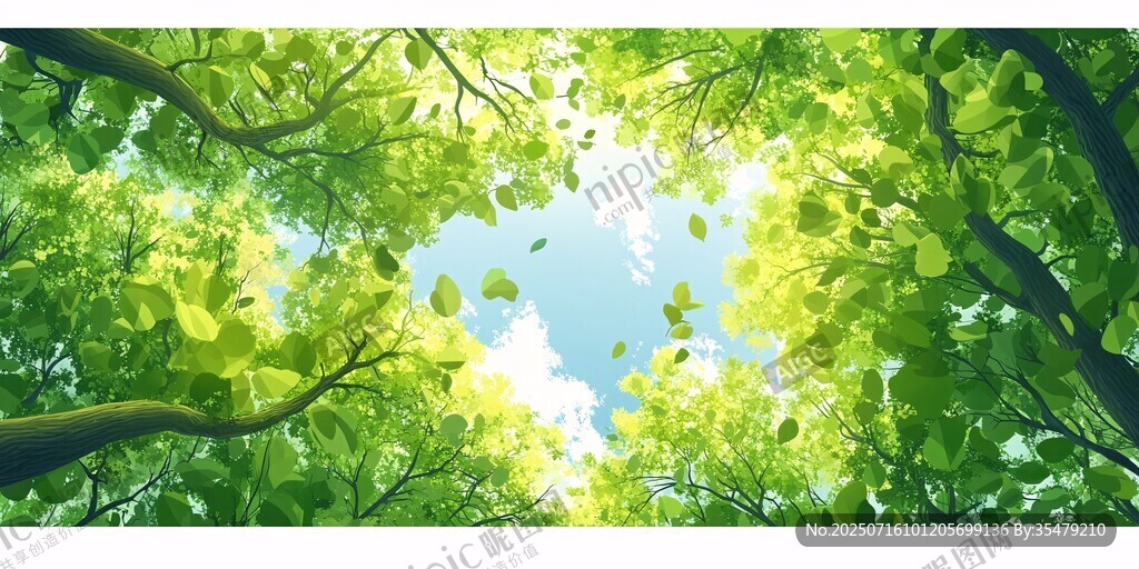 仰觀蔥郁樹冠 天光灑落
