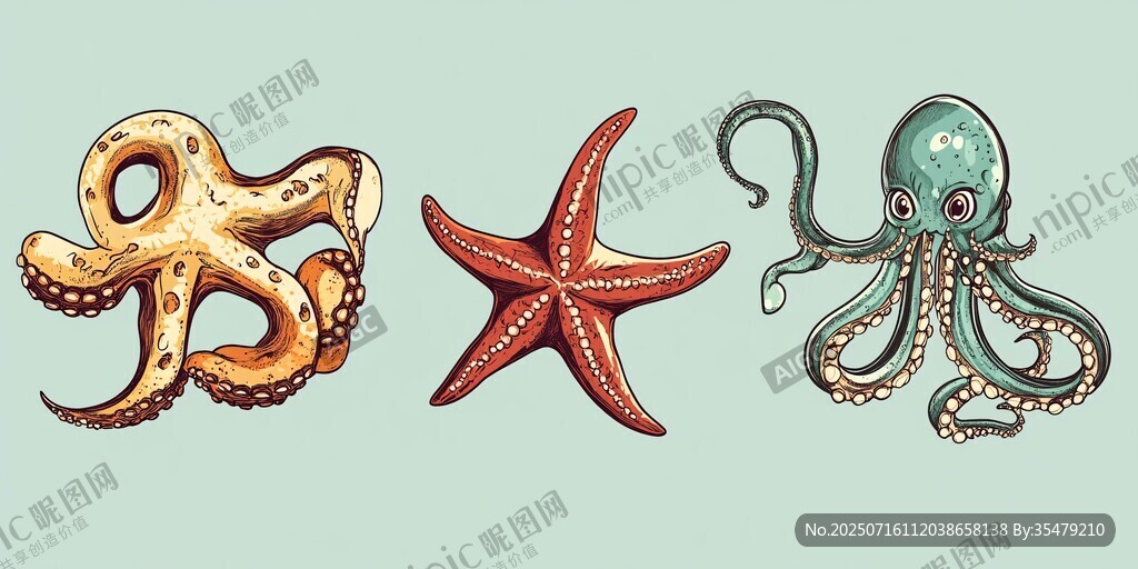 海洋生物插畫 章魚與海星