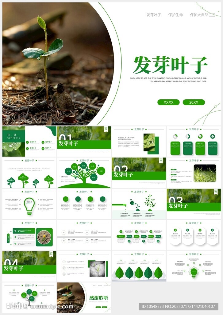 植物發(fā)芽植物生長(zhǎng)敬畏生命PPT