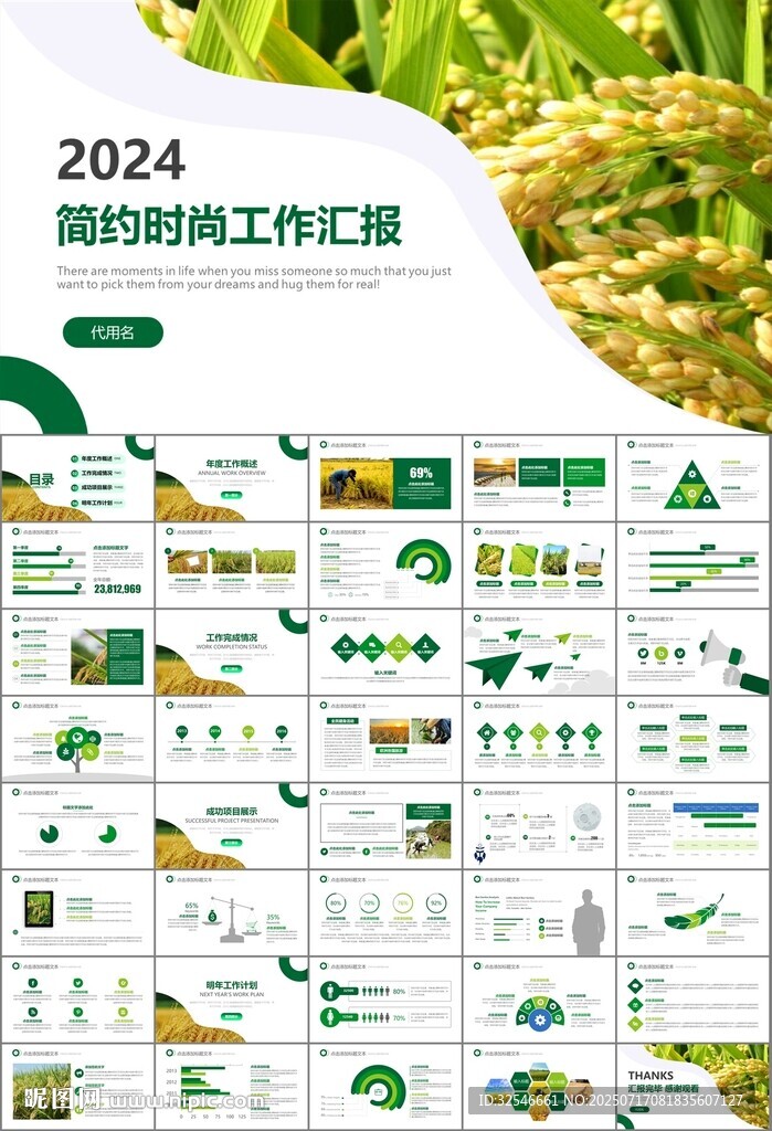 水稻農(nóng)田農(nóng)業(yè)種植大米PPT模板