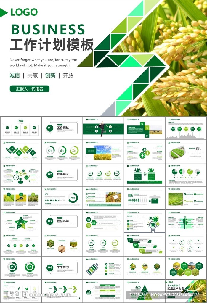 水稻農(nóng)田農(nóng)業(yè)種植大米PPT模板