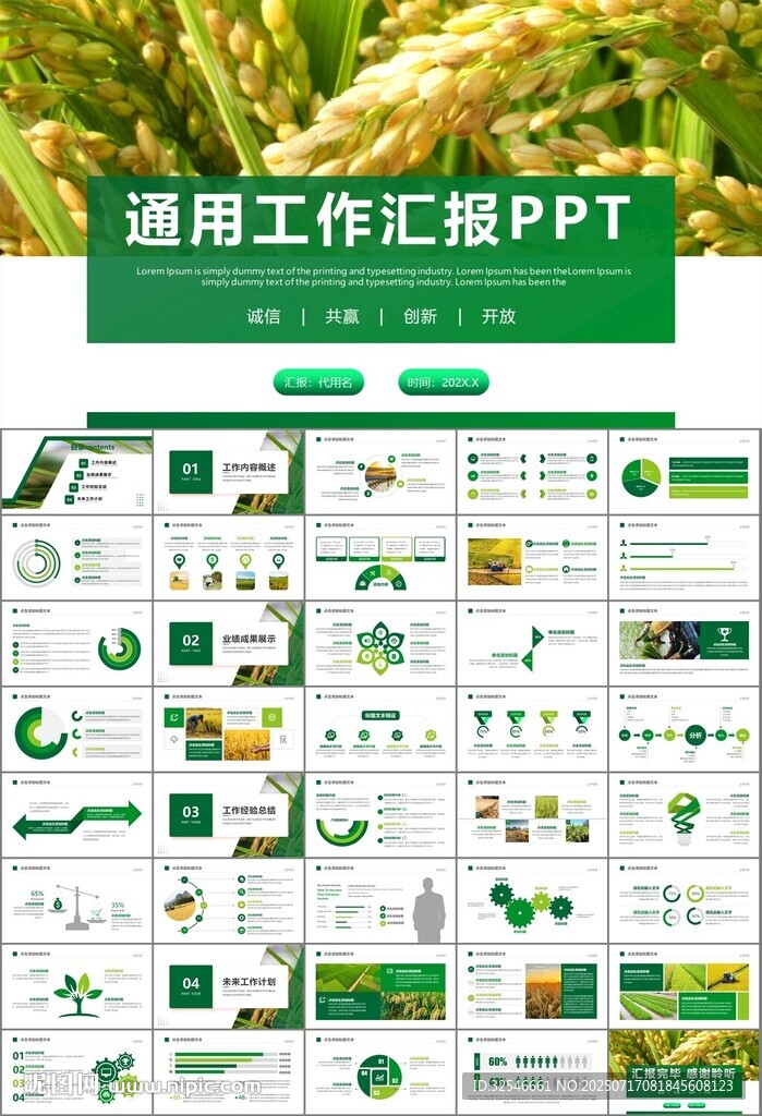 水稻農(nóng)田農(nóng)業(yè)種植大米PPT模板
