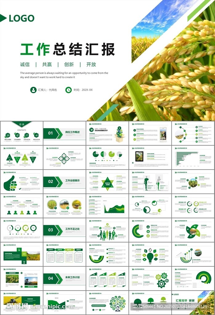 水稻農田農業(yè)種植大米PPT模板