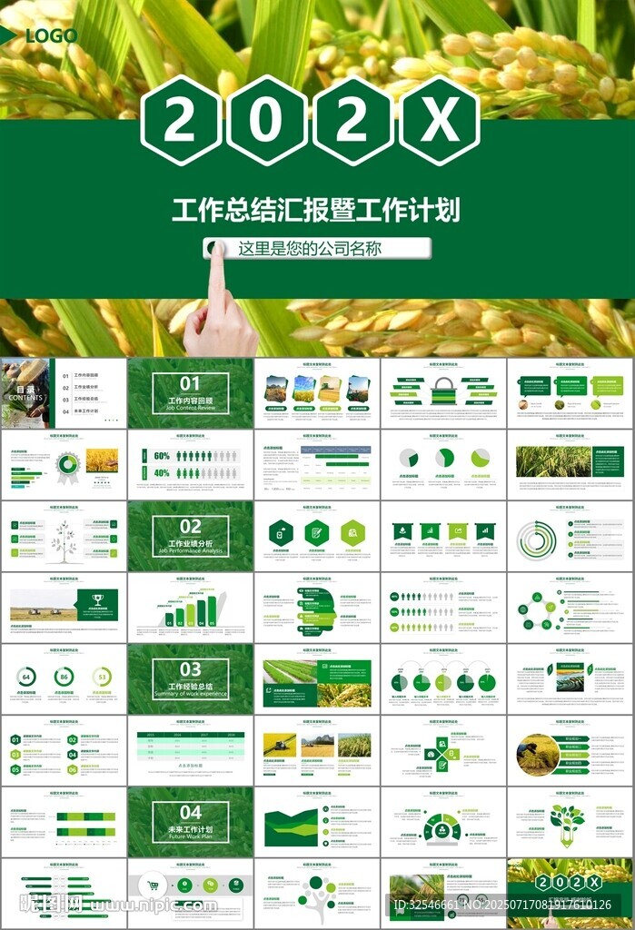 水稻農(nóng)田農(nóng)業(yè)種植大米PPT模板