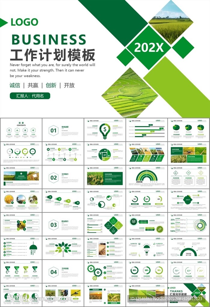 水稻農(nóng)田農(nóng)業(yè)種植大米PPT模板