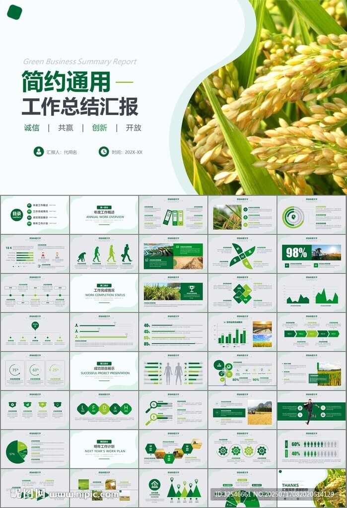 水稻農(nóng)田農(nóng)業(yè)種植大米PPT模板