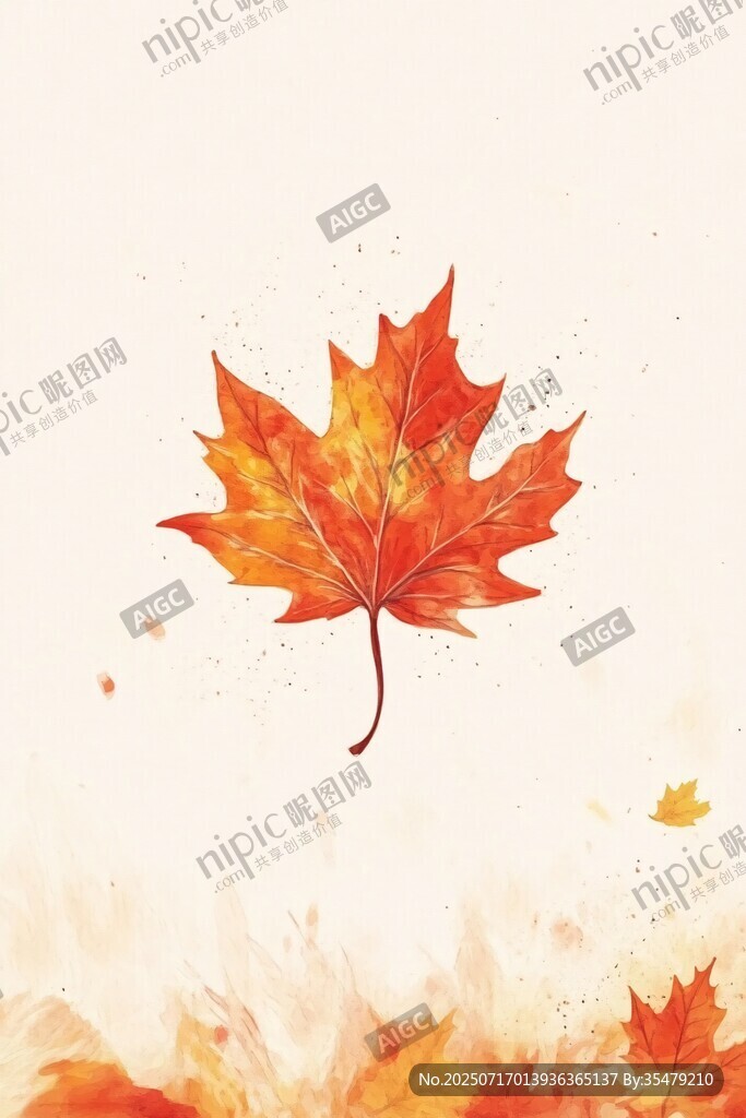 飄落的絢麗楓葉