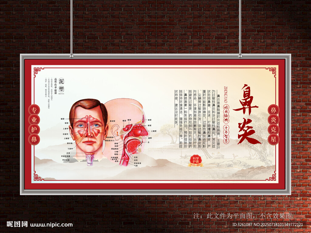 鼻炎展板