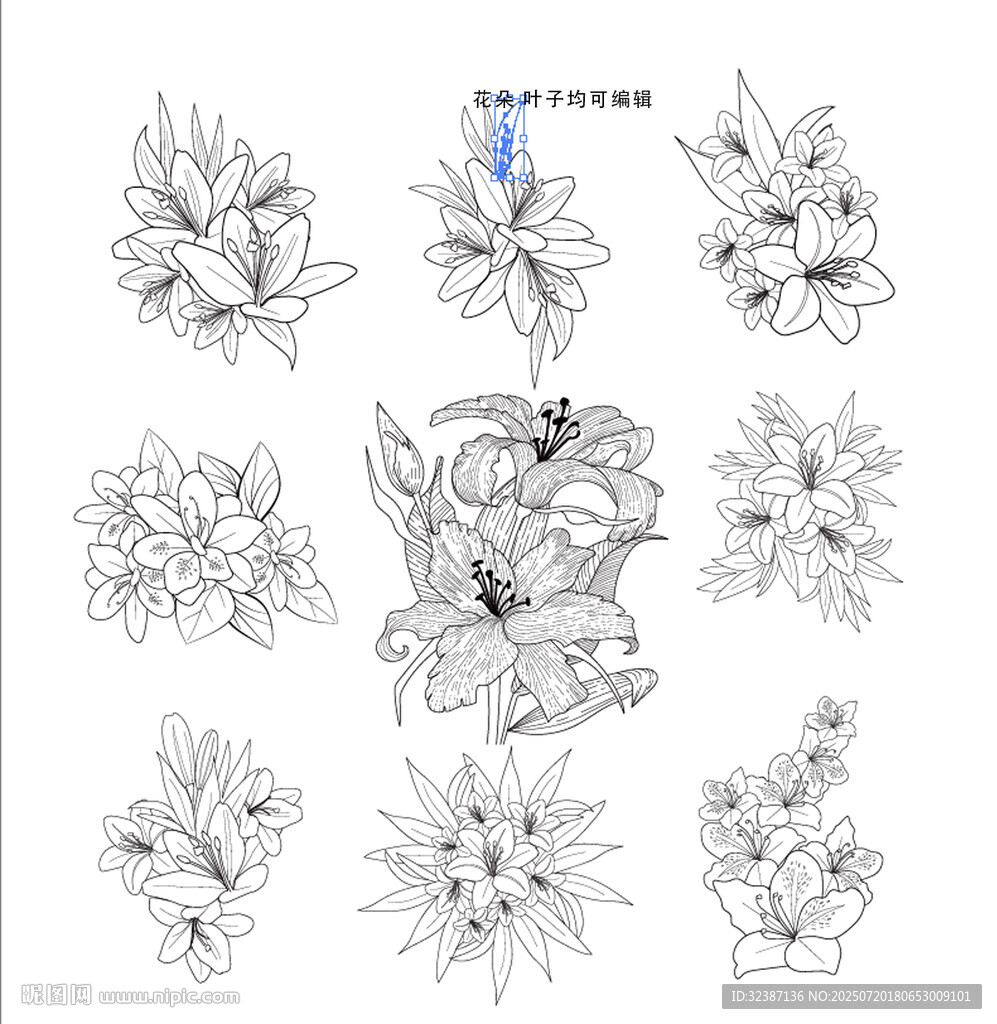 百合花卉線稿圖案設(shè)計素材