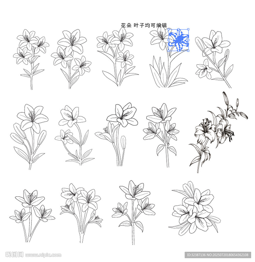 百合花卉線稿圖案設(shè)計(jì)素材