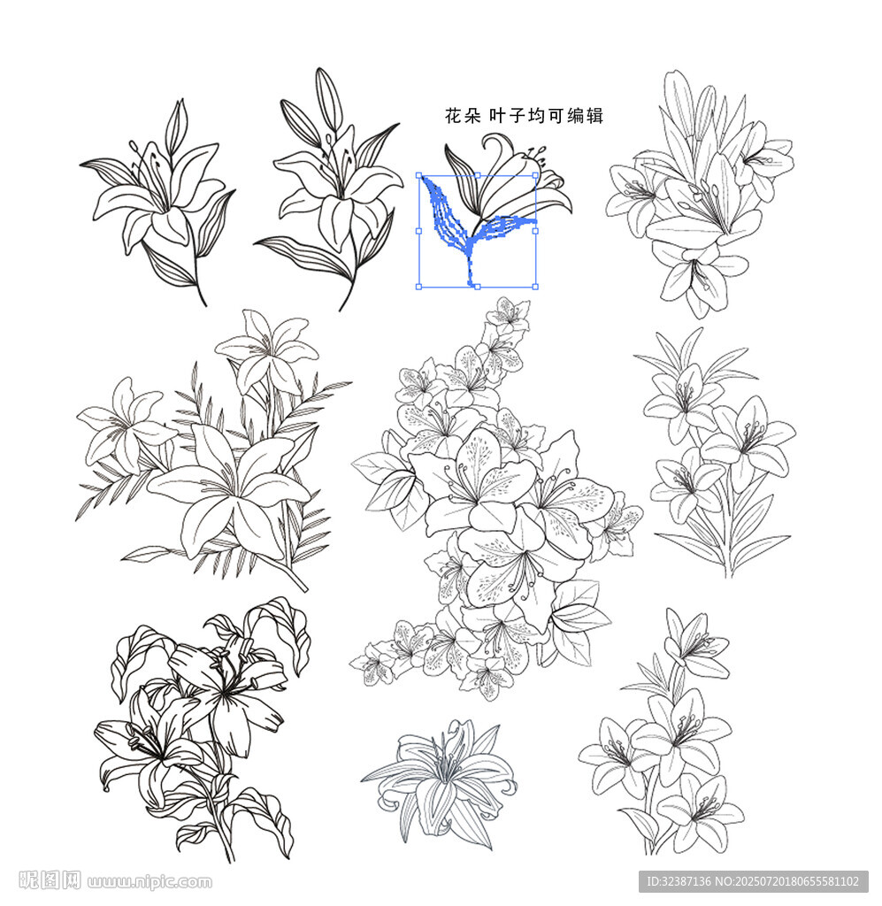 百合花卉鳥類線稿插畫素材