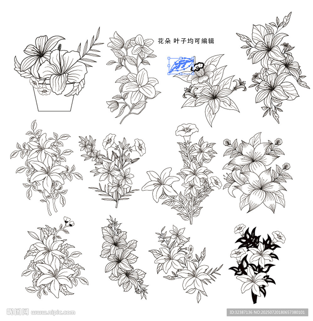 百合花卉線稿圖案設(shè)計(jì)素材