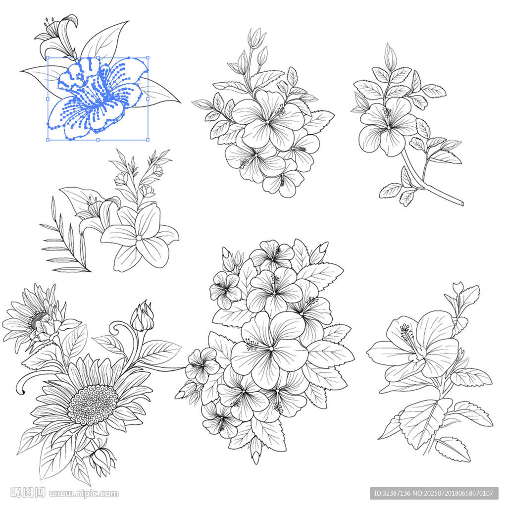 百合花卉線稿圖案集