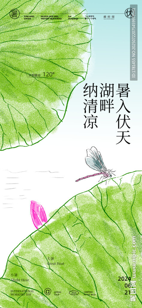 荷葉上的蜻蜓與詩詞意境