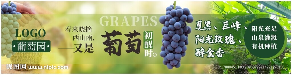 葡萄海報(bào)