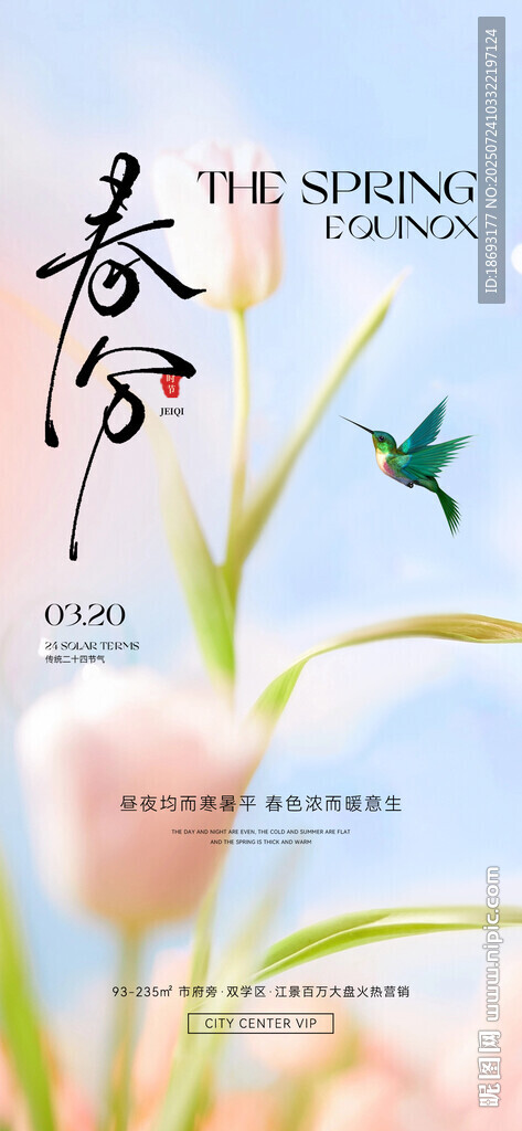 秋分  