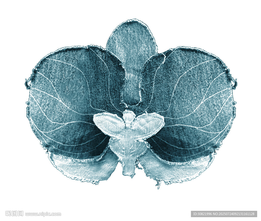 藍(lán)色抽象蘭花圖案