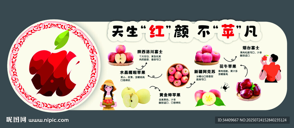 蘋果的分類