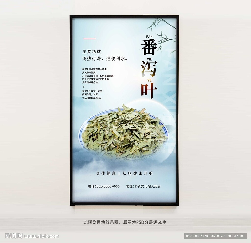 番瀉葉