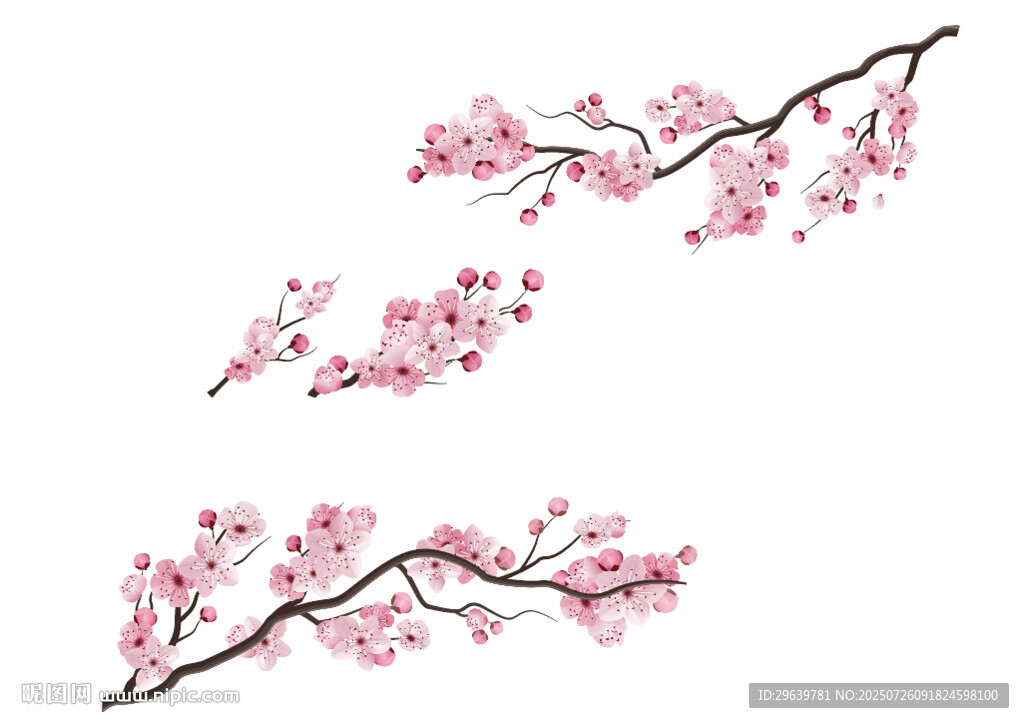 矢量粉色櫻花枝插畫