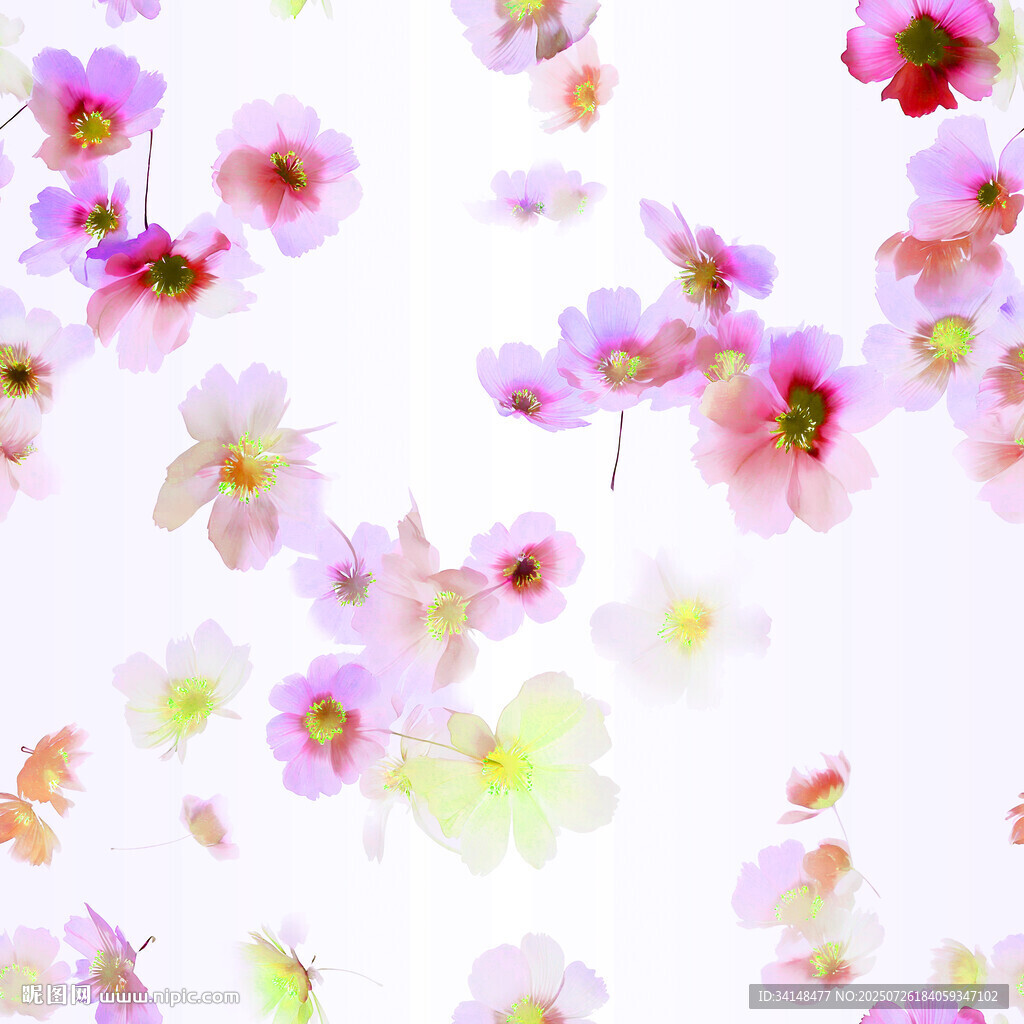 繽紛花朵背景圖