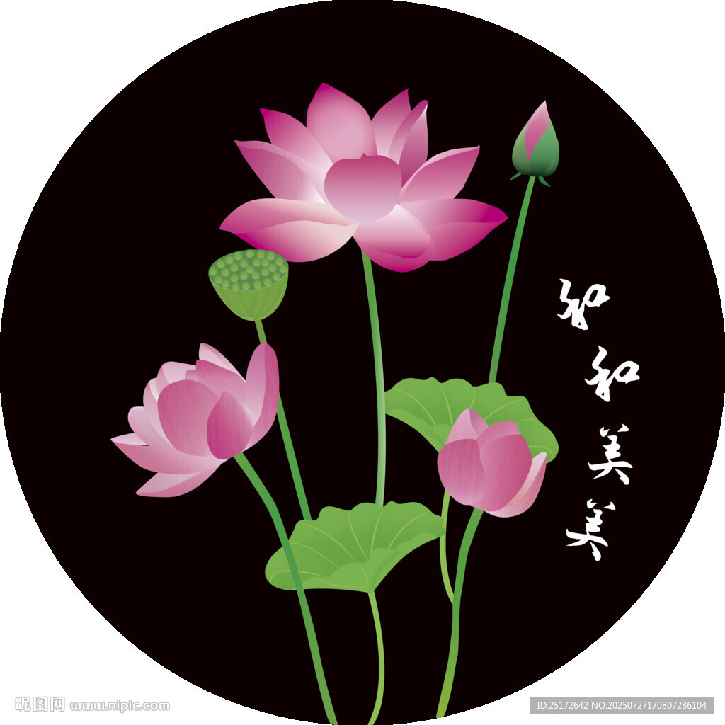 水墨荷花圖和和美美