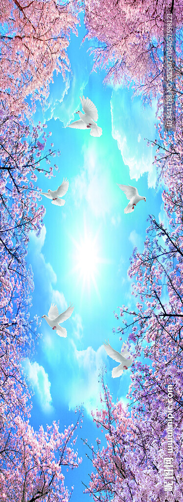 櫻花仰視藍(lán)天白云