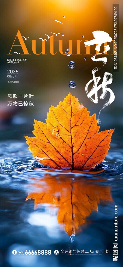 立秋  