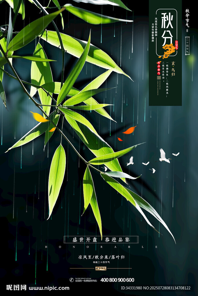 竹子節(jié)氣